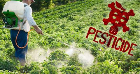 У США будуть готувати тренерів по пестицидним обробкам Рис.1
