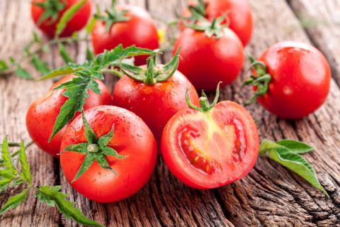 Україна експортувала мінімальний обсяг томатів за останні 12 років Рис.1