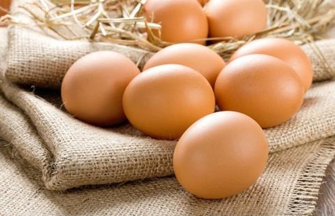 Україна суттєво наростила експорт яєць Рис.1