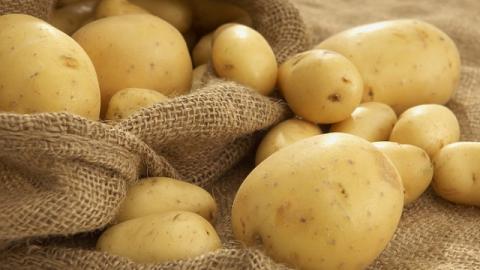 Україна збільшила експорт картоплі у 3,5 разів Рис.1