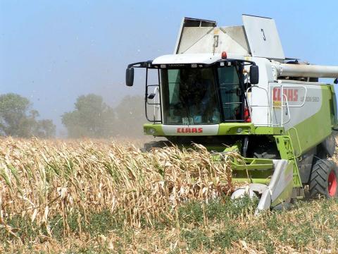  Урожай-2018: Аграрії зібрали перші 1,5 мільйони тонн кукурудзи Рис.1
