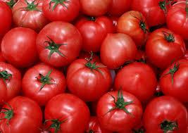 В Україні почався сезон продажів турецького томату Рис.1