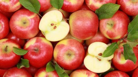 Вчені назвали сорти яблуні, з яких отримують найкращий сік Рис.1