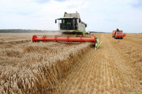 Жнива-2018: Аграрії зібрали майже 70% зернових Рис.1