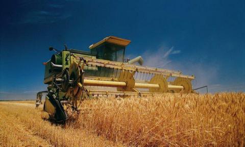 Жнива–2018: Ранні зернові зібрано з 99% засіяних площ Рис.1