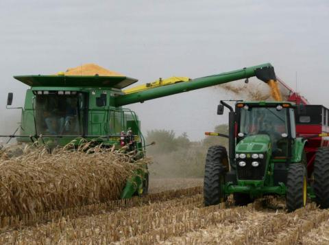 Жнива—2018: В України почали збирати кукурудзу Рис.1