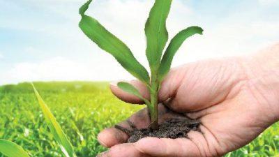 Нові стандарти для біостимуляторів рослин і добрив Рис.1
