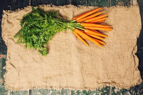 Як посадити моркву і мішковина замість мульчі Рис.1
