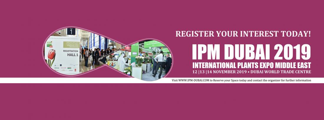 IPM DUBAI 2019 Рис.1