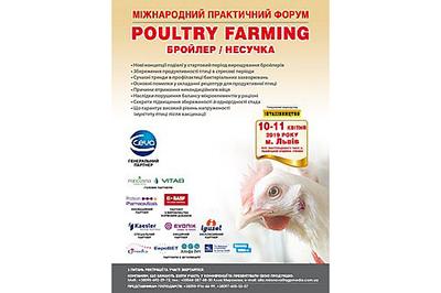 Poultry Farming. Бройлер/Несушка Рис.1