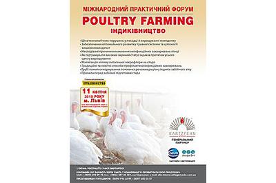 Poultry Farming.Індиківни́цтво Рис.1