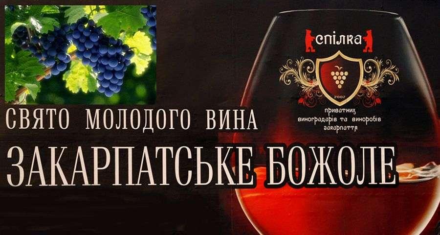 Фестиваль молодого вина «Закарпатське божоле» Рис.1