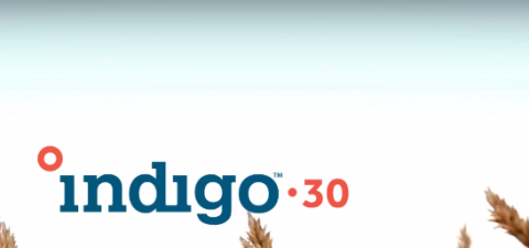 Біопрепарат Індіго-30 (Indigo-30), ВС